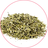 ekstrakt z lisci damiany