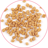 ekstrakt z nasion kozieradki pospolitej Fenusterol